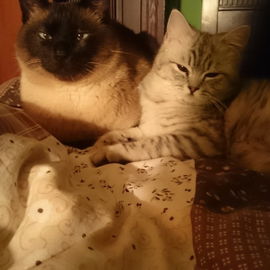 Jimmyschatz und Nalahma...