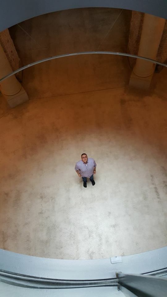 Ich blicke auf zu meiner Schwebenden Pfirsichblüte