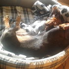 Sonnenanbeter :-)
