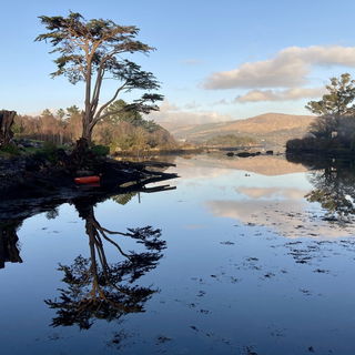 Bantry Bay, Glengarriff...