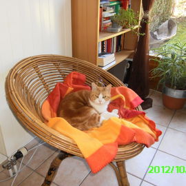 RIP ma belle Zora !