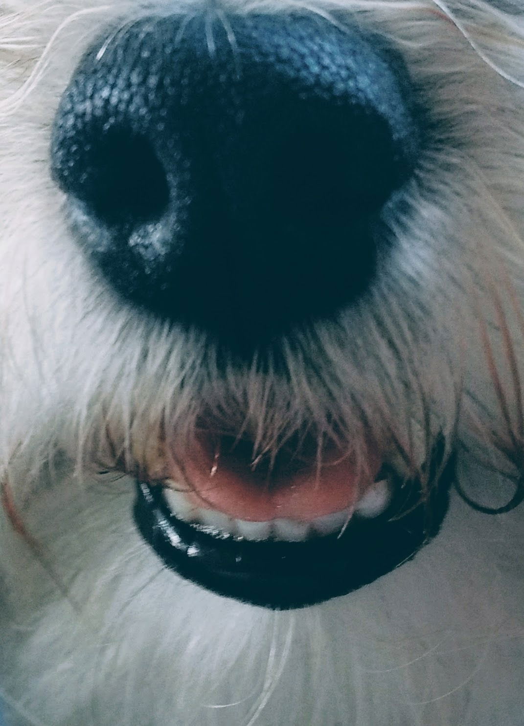 Lakritzlippe... 🖤