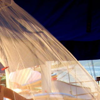 Vor dem Aufstehen auf d...