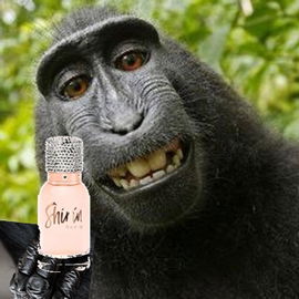 S.  - Eau de primate ;-...