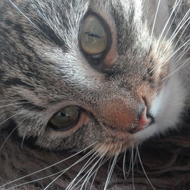 Mia - Diva