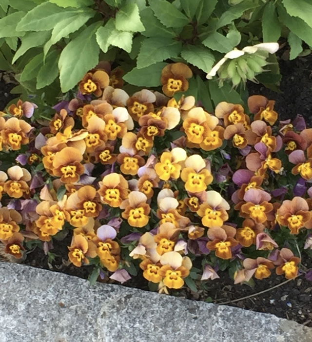 playmobil hippie festival