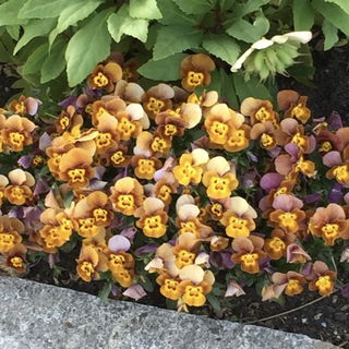 playmobil hippie festiv...