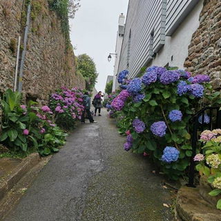 mit Verka dans la rue S...