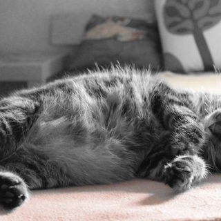 Mein "mit Dir wird Alle...