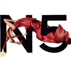 i love chanel