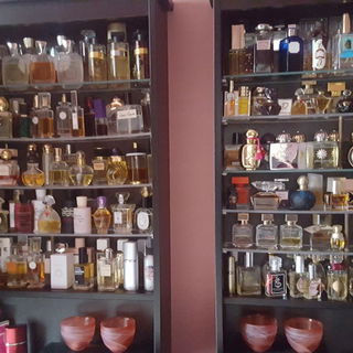 Die neue Ordnung (3) .....