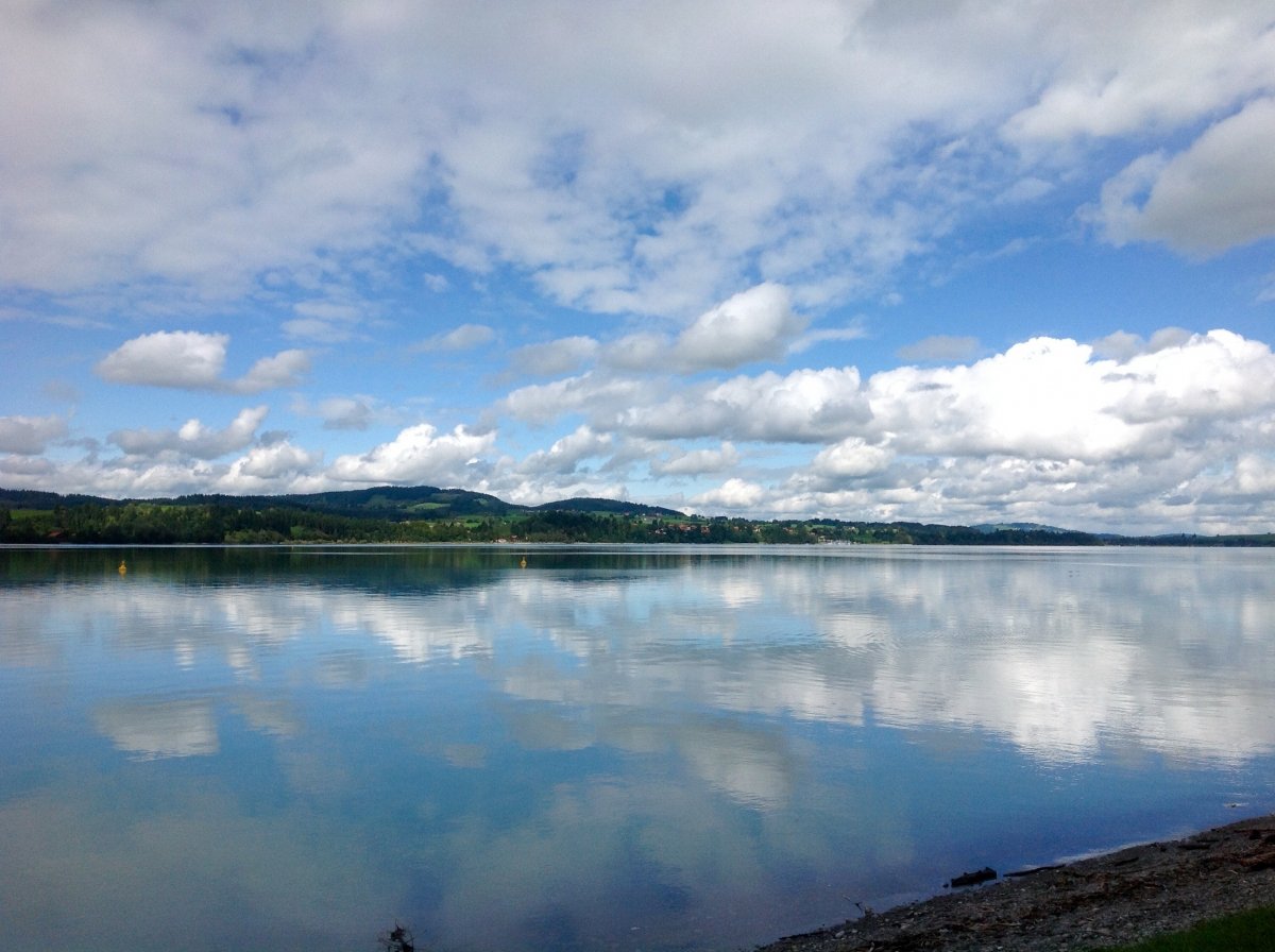 ....... Forggensee ........