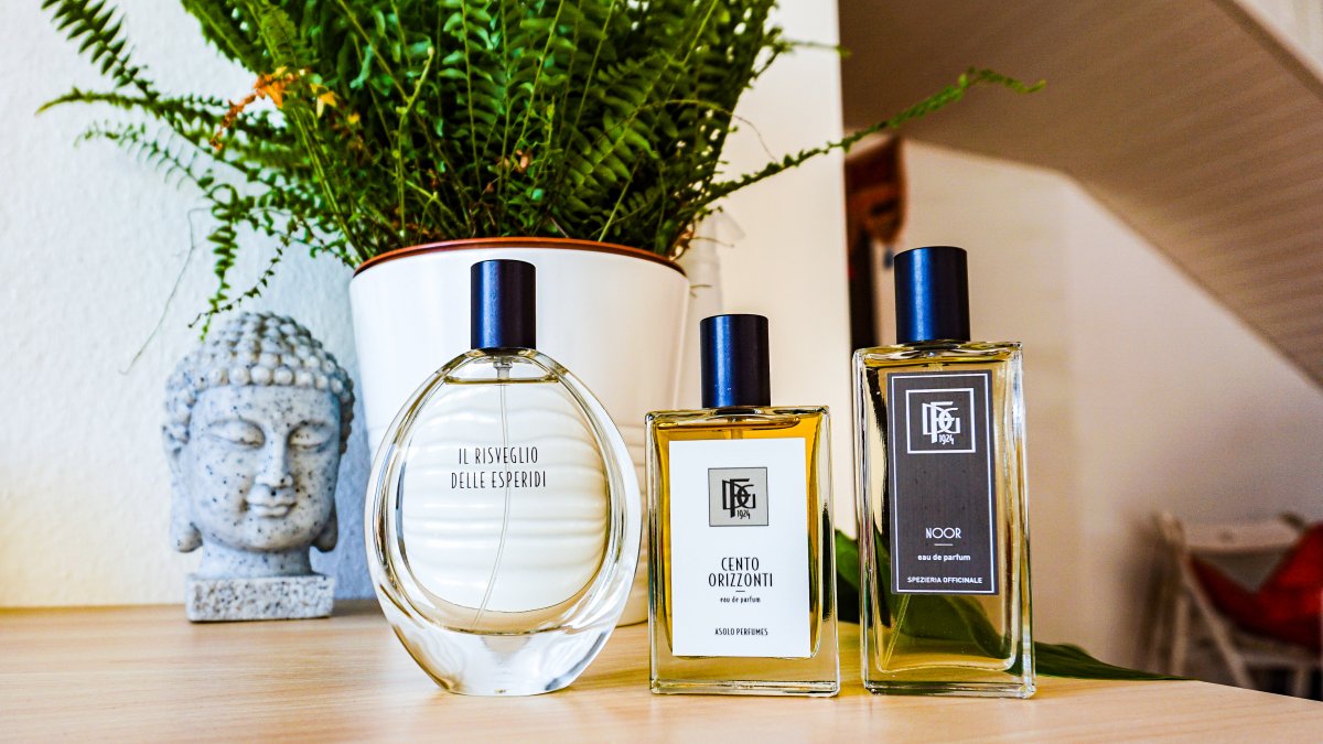 DFG1924 Scents