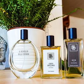 DFG1924 Scents