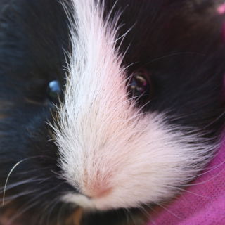 Meine Betty