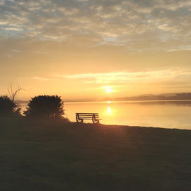 Heute Morgen am See