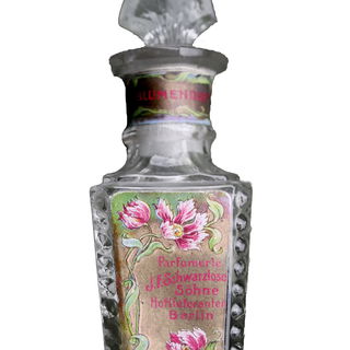 Schwarzlose Blumendufts...