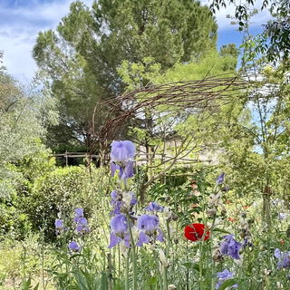 Iris Palladia - in den ...