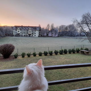 Wintereinzug. Alles ste...