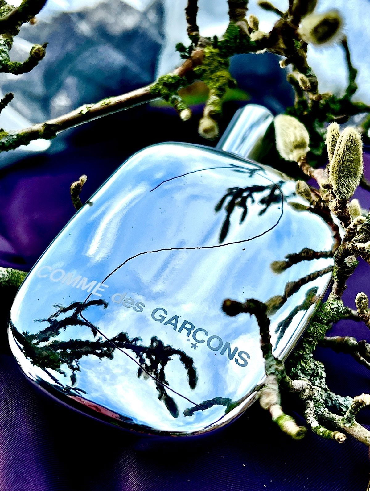 Ab jetzt findet ihr meine Fotos alle hier im Album. Ich freue mich sehr über euren Besuch!