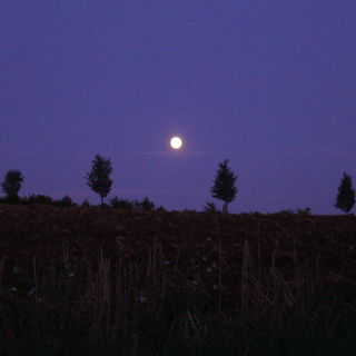 ..Der Sommernachtstraum...