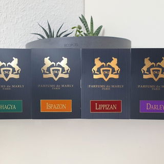 Shagya, Ispazon, Lippiz...