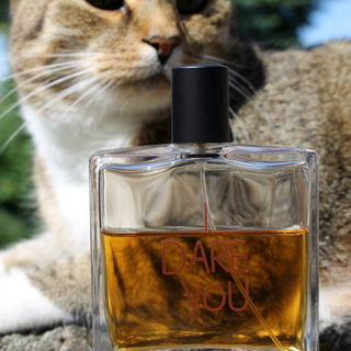 Er hat sich getraut. Da...