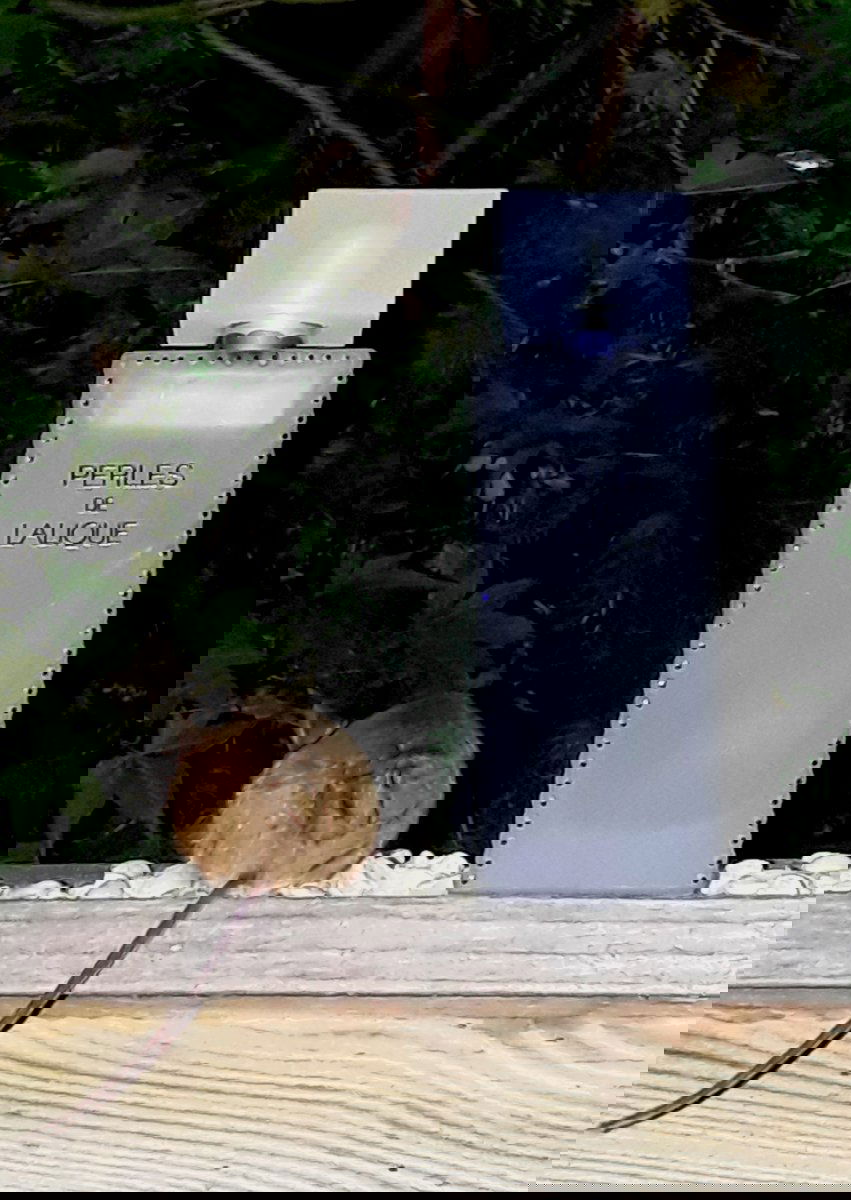 Ich geh dann mal wieder..