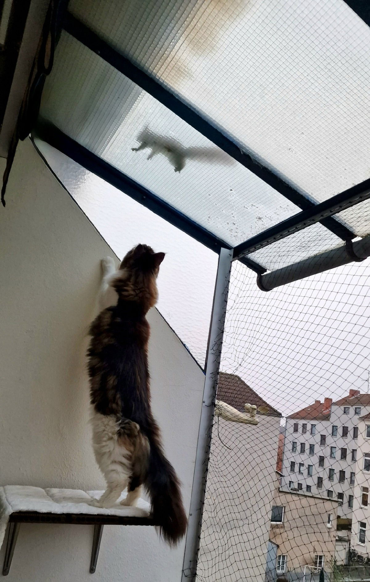 "Hörnchenalarm" 🥰