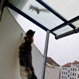 "Hörnchenalarm" 🥰