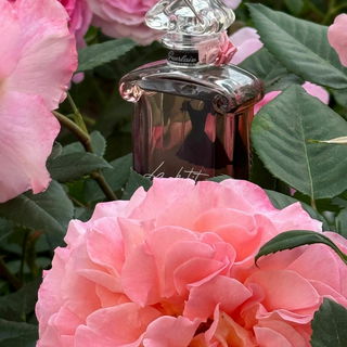 Guerlain La petite Robe...