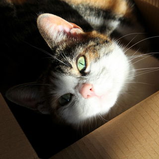 ".. und die Tüten? Die...