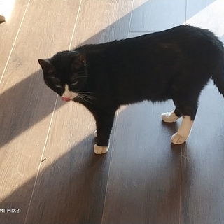 Kaspar