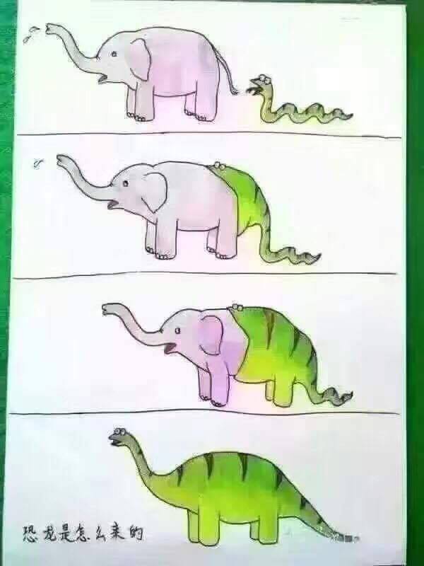 Ach soooo war das, Herr Darwin !!!
