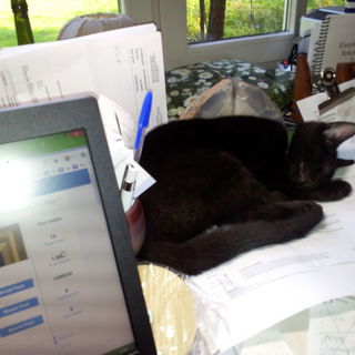 Das war die Erste: Kitt...