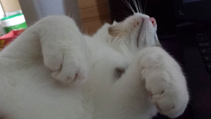 Sonntagmorgen vom Feinsten