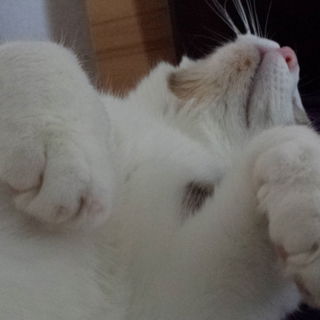 Sonntagmorgen vom Feins...