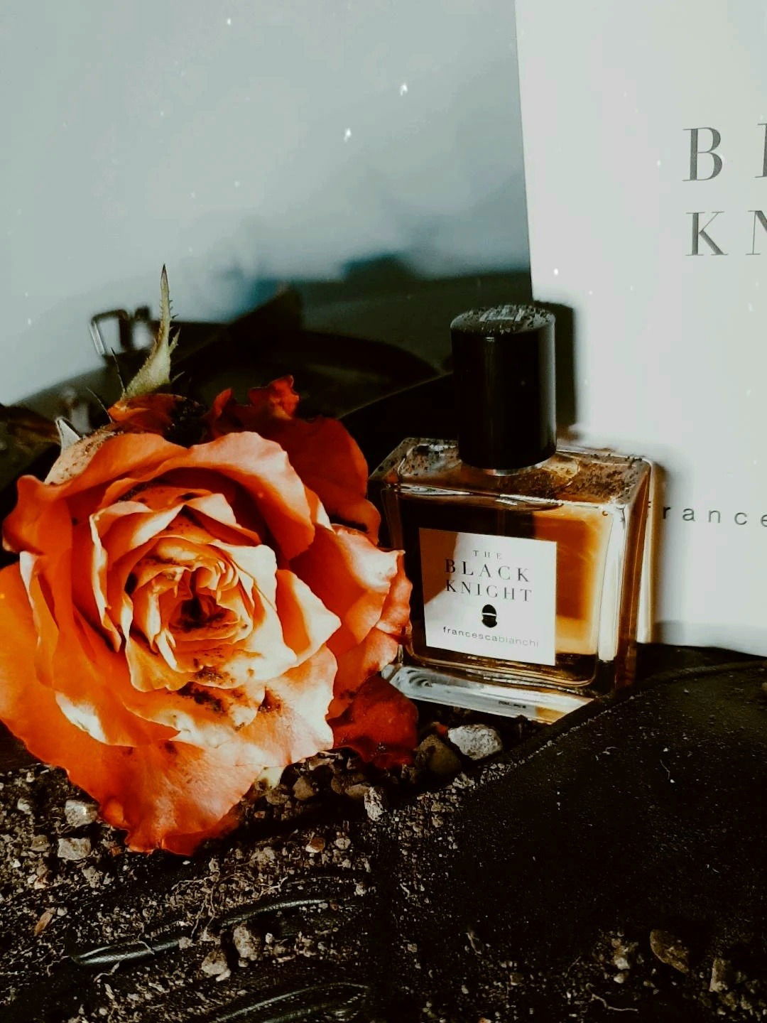 The dark knight embraces his long lost love, imprinted on his skin the scent of leather armour, sweat and tears, in his heart desire for sanctuary, in his hand he holds a rose for the queen that he has been craving for.