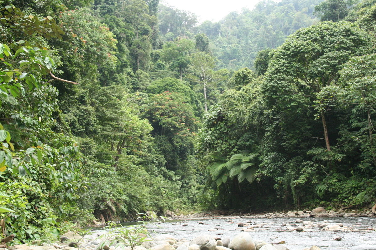 Sumatera