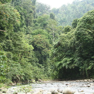 Sumatera