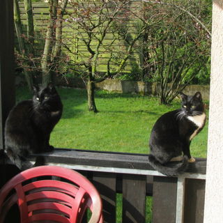 Tino (links) und Yuki...