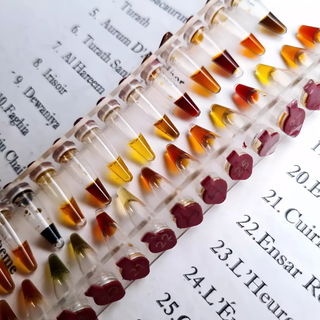 Sultan Pasha-Discovery ...