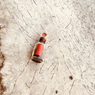 Godet Cuir de Russie au...