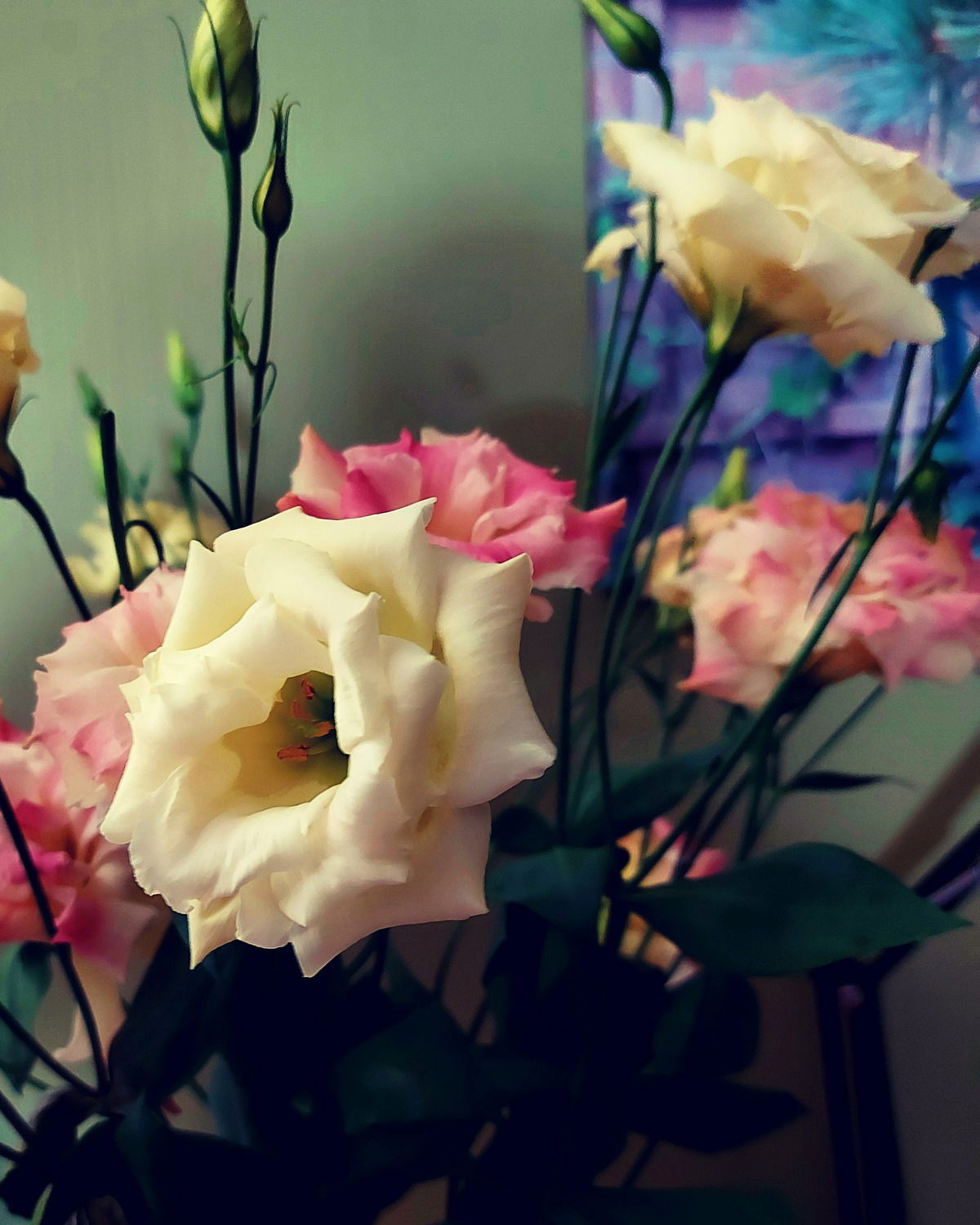 Flowers always brighten my day