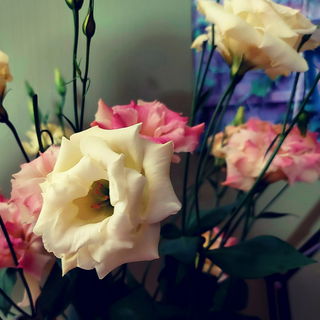 Flowers always brighten...