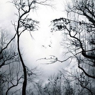 Stunned he stops when h...