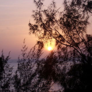 Sansibar Sonnenaufgang...
