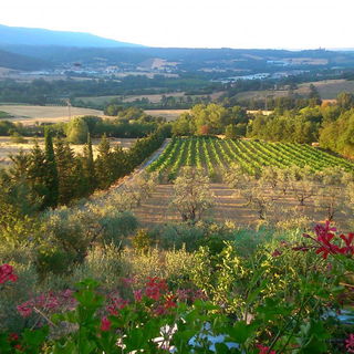 Landgut bei Rignano sul...