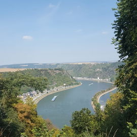 Loreley