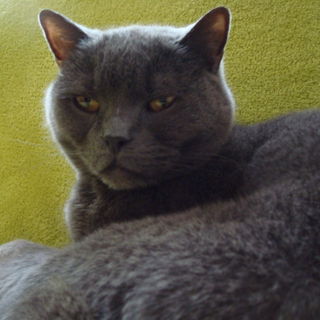 Chanell geb. 07-01-2001...